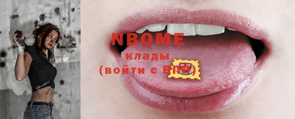 гашик Надым