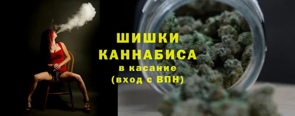 гашик Надым