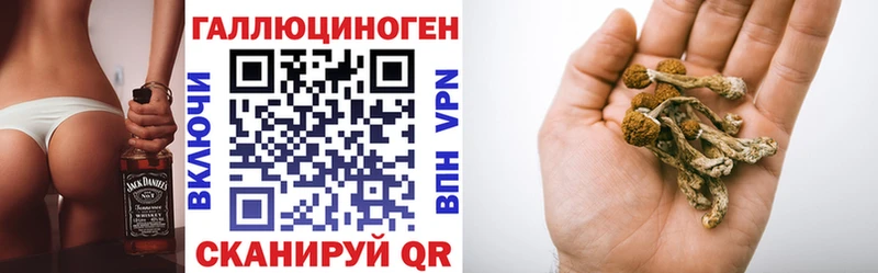 где купить   Зеленоградск  Галлюциногенные грибы мухоморы 
